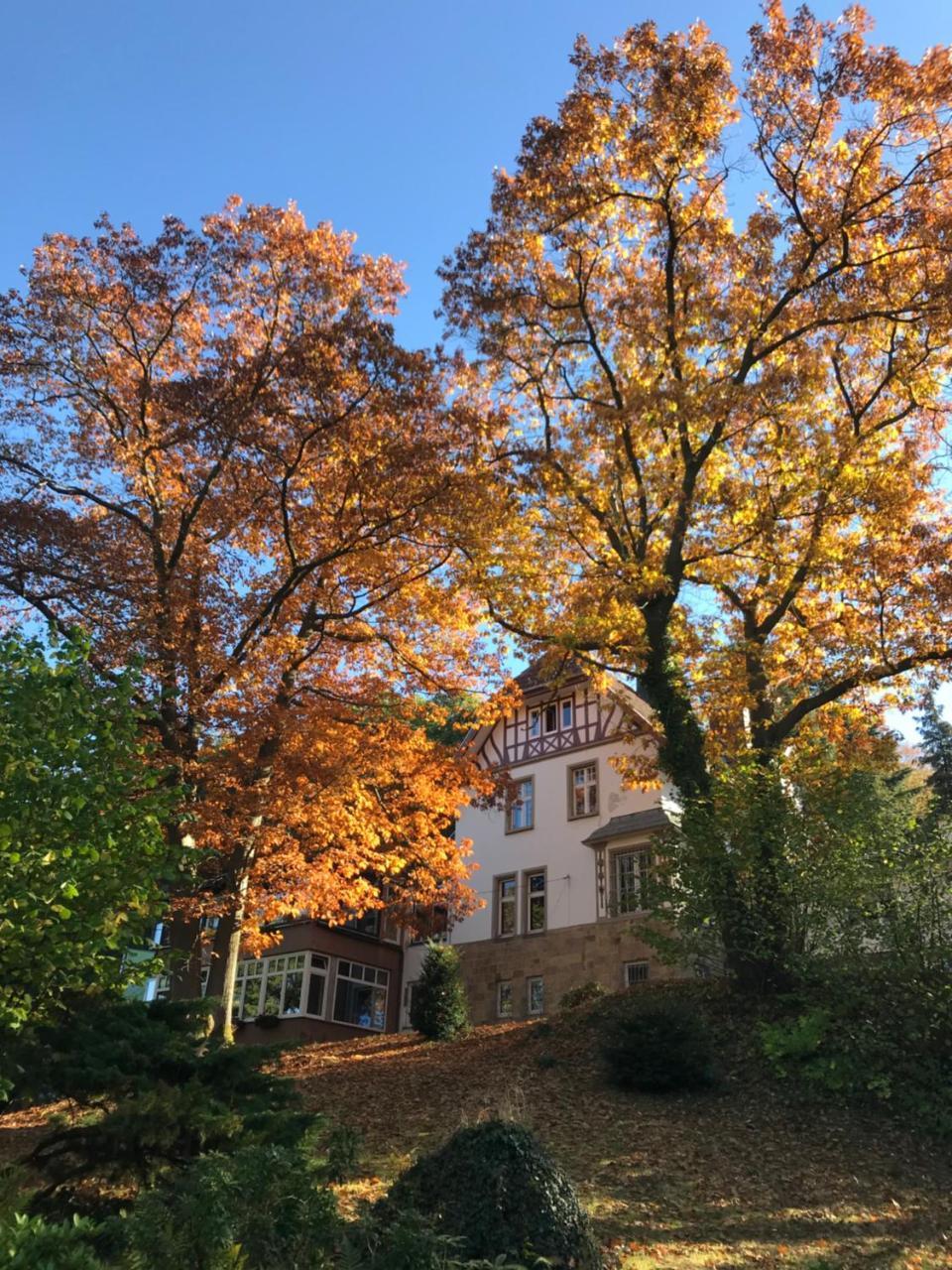 Hotel Waldhotel Bad Muenstereifel